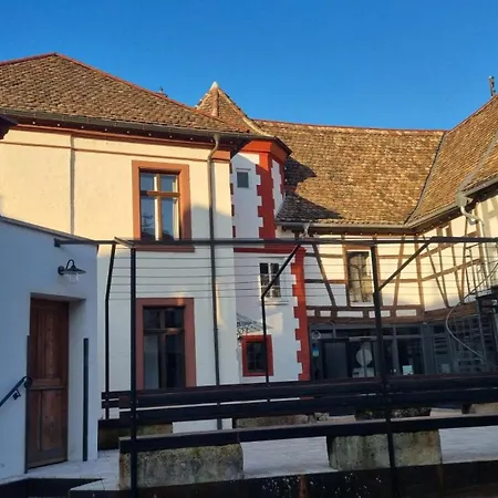 Schmuckstueck-maikammer Appartement