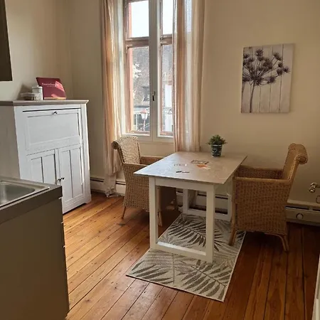 Schmuckstueck-maikammer Appartement