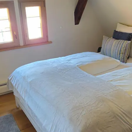 Schmuckstueck-maikammer Appartement