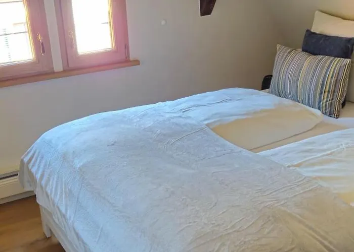 Schmuckstueck-maikammer Apartament